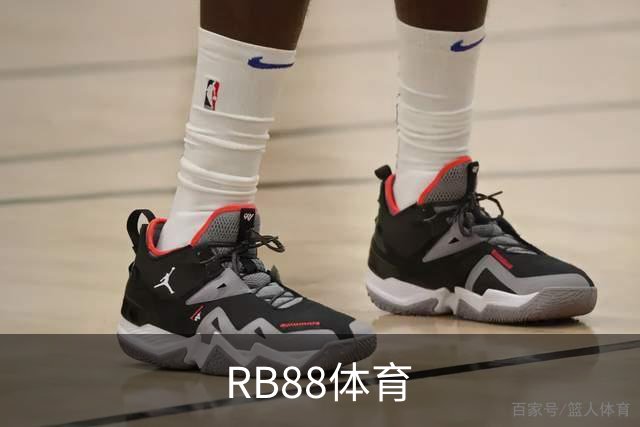 RB88体育公司简介图片